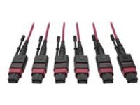Tripp Lite 24-Fiber MTP MPO OM4 Base-8 MMF Trunk Cable 40/100GbE 3X, 23M