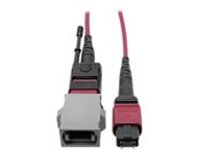 Tripp Lite MTP/MPO Parallel Optics Base-8 Migration Fiber Adapter, Polarity C to B, 12 Fiber, 40 GbE, OM4 M/F, Magenta, 8 in.