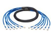 Tripp Lite 6ft Augmented Cat6 Cat6a Pre-Terminated Copper trunk Bundle 6xRJ45 M/M 6'