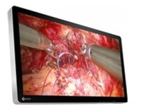 EIZO FlexScan EX3242-3D