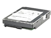 Dell - Hard drive - 300 GB