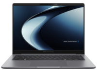ASUS ExpertBook P3 PM3406CKA-P7321-CA
