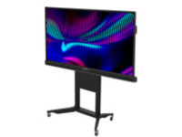 Promethean ActivPanel