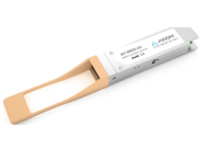 Axiom - QSFP28 adapter module (equivalent to: Dell 407-BBZG)