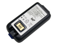BTI - Handheld battery (equivalent to: Honeywell 318-063-002)