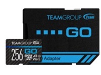 Team GO - Flash memory card (SD adapter included)
