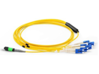 Axiom - Breakout cable