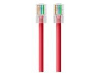 Belkin - Patch cable