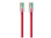 Belkin - Patch cable