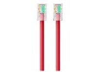 Belkin - Patch cable