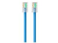 Belkin - Patch cable