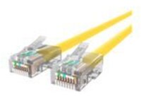 Belkin - Patch cable