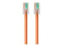 Belkin - Patch cable