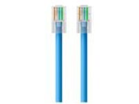 Belkin - Patch cable