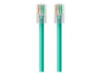 Belkin - Patch cable