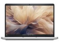 Dell Pro 13 Plus PB13250
