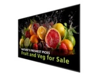 Philips 98BDL5050D - 98" Diagonal Class (97.5" viewable)