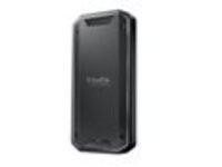 SanDisk Professional PRO-G40