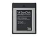 SanDisk Professional