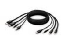 Belkin Secure KVM Combo Cable