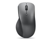 Lenovo Professional - Mouse