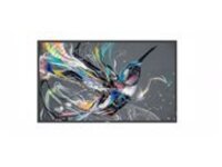 Philips 65BDL3511Q - 65" Diagonal Class (64.5" viewable)