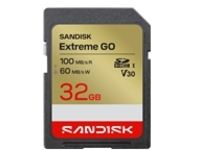 SanDisk Extreme Go - Flash memory card