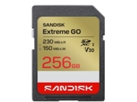 SanDisk Extreme Go - Flash memory card