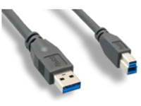 Axiom - USB cable - USB Type A (M) to USB Type B (M)