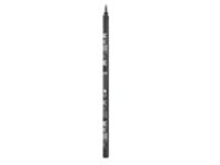 APC NetShelter Rack PDU Advanced