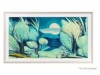 65IN THE FRAME CUSTOMIZABLE BEZEL