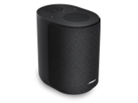 Bose Lifestyle Ultra