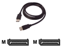 SIIG - DisplayPort cable