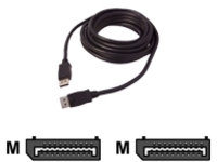 SIIG - DisplayPort cable