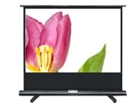 Optoma Panoview Pull Up DP-9092MWL