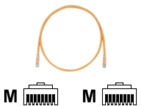 Panduit TX6 PLUS patch cable - 4.9 m - orange