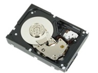 DELL 300GB 10K 6GBS 2.5-IN SFF_ SAS H-P HDD