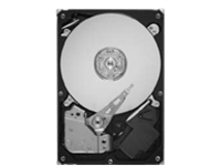 Seagate SV35.5 Series ST3500410SV