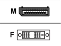 PNY - Display adapter