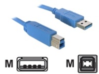 Delock - USB cable - USB (M) to USB Type B (M)