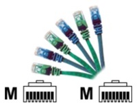CP Technologies - Patch cable