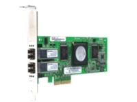 QLogic SANblade QLE2462