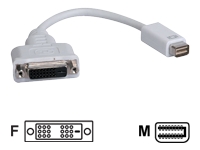 Tripp Lite Mini DVI to DVI Cable Adapter Video Converter for Macbooks and iMacs Mini DVI to DVI-D