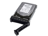 Dell Nearline - Hard drive