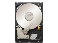 Seagate Constellation ES ST32000444SS