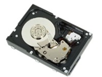 DELL 1TB 3.5-IN LFF SAS 6GBS 7.2K RPM 512N NL H-P HDD