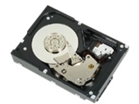 DELL 73GB 6GBS 15K SP 2.5-IN H-P SAS HDD