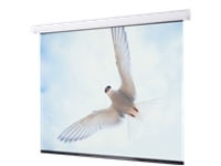 Draper Targa - Projection screen