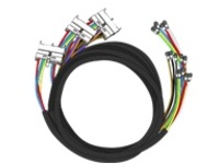 Cisco Cable Bundle with UCH2 Units