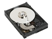 DELL 1TB 7.2K 3.5-IN 3GBS SATA 512E HDD